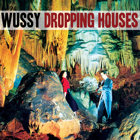Wussy - Dropping Houses (7")