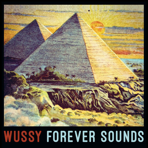 Wussy - Forever Sounds CD or LP