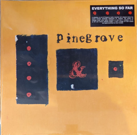 Pinegrove - Everything So Far 2 LP