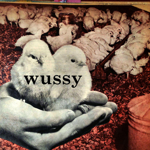 Wussy - Wussy CD or LP